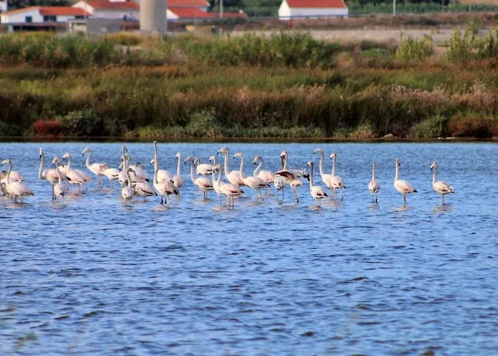 Stella Di Mare Local Figueira da Foz