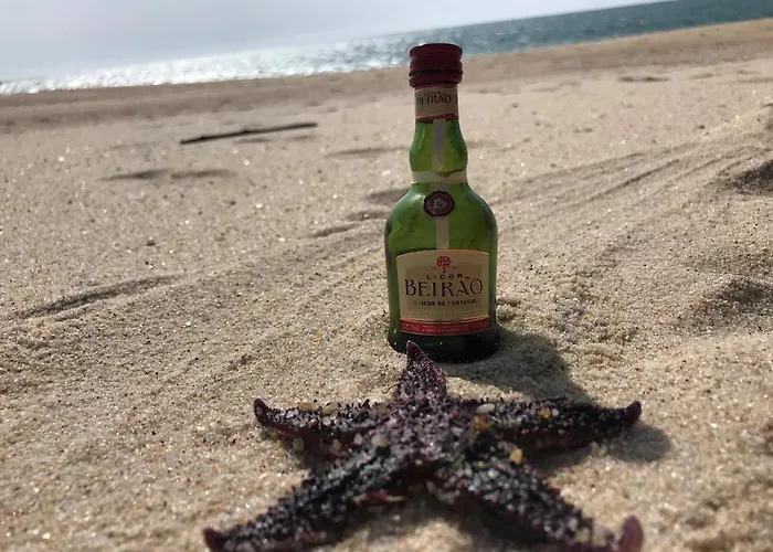 Pensjonat Stella Di Mare Local *